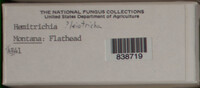 Image Associated With the Occurence
